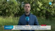 МВР работи по случай с открити седем тела, заровени в гора край София, задържан е погребален агент
