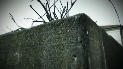 Dado Polumenta - Moja srno