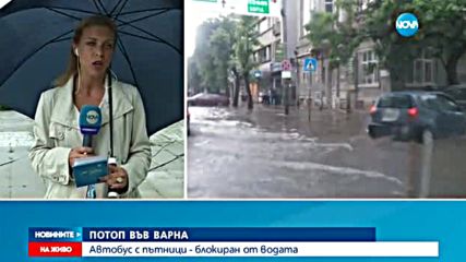 ДЪЖДОВНА ПРОЛЕТ: Валежи и студ през май