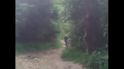 Гааз до дупка
