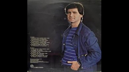 Asim Brkan - Zelela Si Dva Prstena