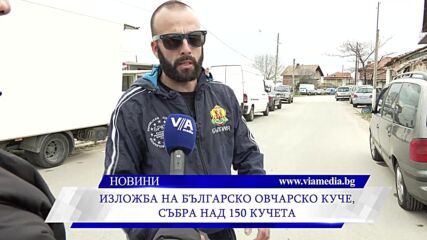 Новините на ВИА Медия - 06.04.2026