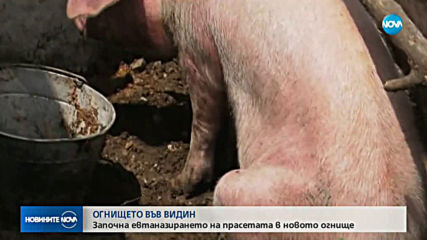 Новините на NOVA (30.07.2019 - централна емисия)