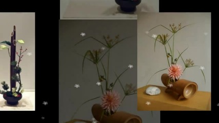 Икебана - изкуство за цветята... ...(all colors)... ...