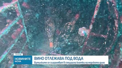 Подводна изба: Как вино в Чили отлежава на дъното на океана