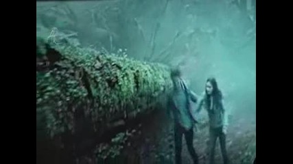 Twilight - Еdward & Bella