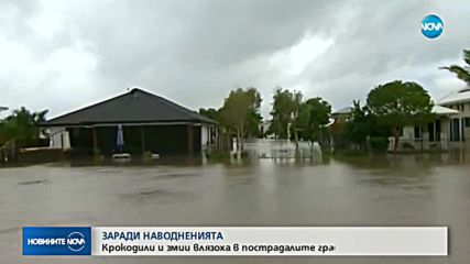 Крокодили и змии влязоха в пострадалите градове в Австралия заради наводненията