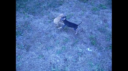 Sam_3981