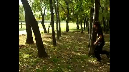 Чиит Wallflip Xd