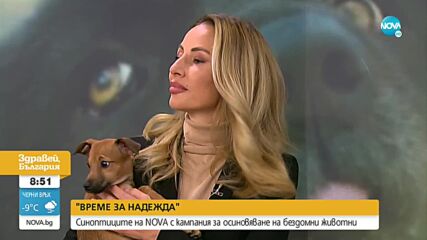 ВРЕМЕ ЗА НАДЕЖДА: Синоптиците на NOVA с кампания за осиновяване на бездомни животни