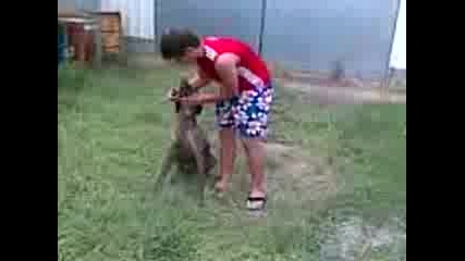 Видео013