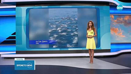 Прогноза за времето (11.06.2025 - обедна емисия)