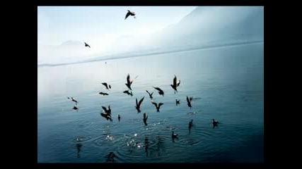 Above & Beyond Pres. Oceanlab - If I Could Fly (jaytech Remix)