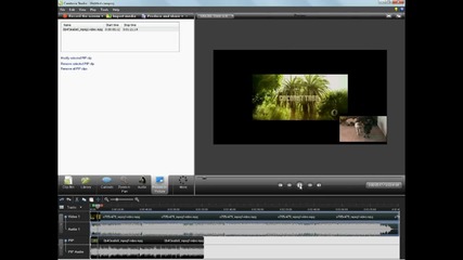 Camtasia Studio 7 - lesen urok