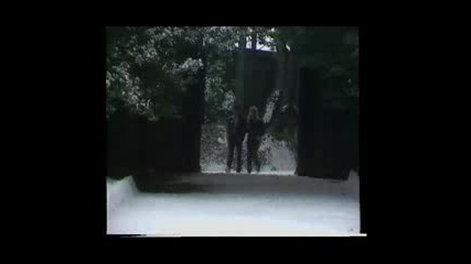 Paul Mccartney & Wings - Winter Rose
