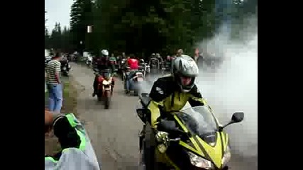 Лудия От Берковица 2