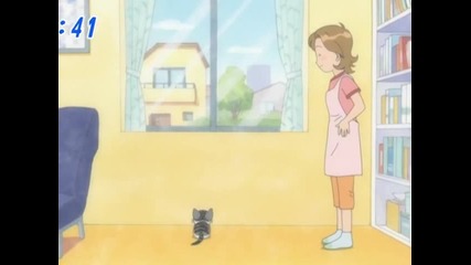 chi's sweet home 034 (bg)