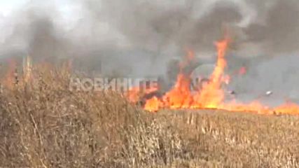 500 декара пламнаха недалеч от Ямбол