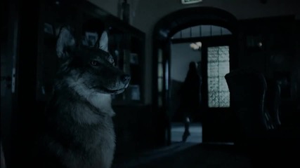 Таня Терешина — Понимай (2011) 