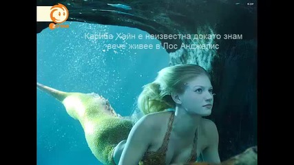 Русалките от мако информация за 2 сезон
