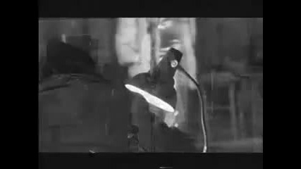 Kamelia - ti si
