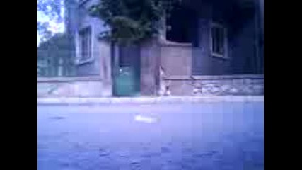 Много яко оли