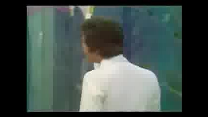 Joe Dassin - Que sont devenus nos amours