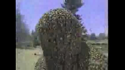 Guinnes - 350 000 Пчели Върху Мъж