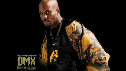 Dmx - The rain