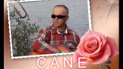 Цане Николовски - Од Како Те Заљубив