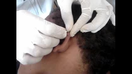 Body Piercing , Felipe Body Piercing
