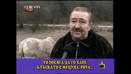 Странна новина за кобилка по тв2 - Господари на Ефира 