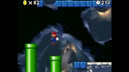 Nsmb~1 - 2 level