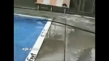 скок в басейна - почти точен