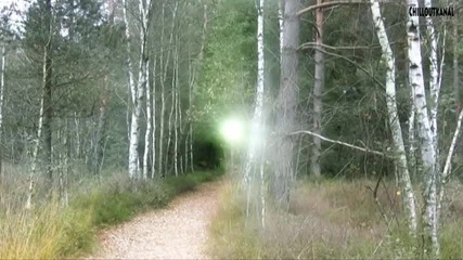 Natur und Waldimpressionen (chillout) Entspannung Meditation Musik Music 