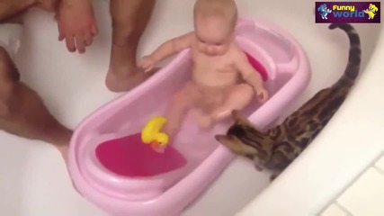Компилация Смях - Cute Cat And Baby Videos Compilation 2015