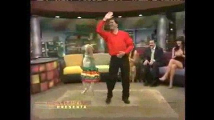 dance dog 