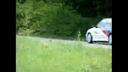 Rally Vida 2008 - Izvos Day 2 - 12