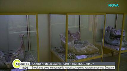 Хилядолетия под водата: Какви находки продължава да ни разкрива река Дунав