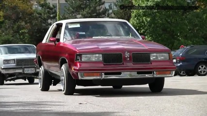 True Playaz Car Club Bbq- Majestics _ Luxurious Roll In