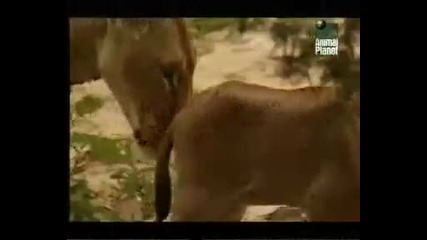 Това вече е странно