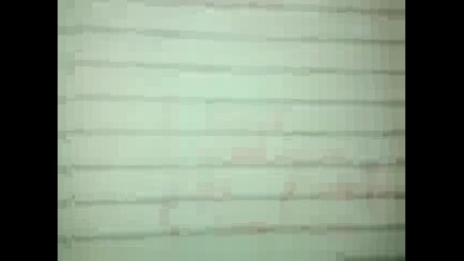 Vid_20130317_190107