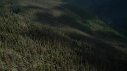 Zero Project - First night at the Wood Elf Forest( Beautiful Natural World )