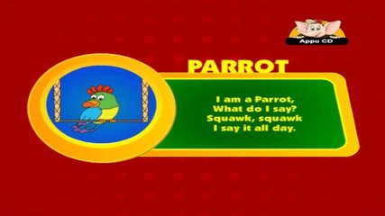 Как прави папагала - За деца