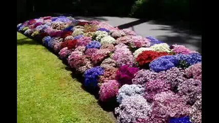 What A Wonderful World