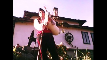gaidar na selo
