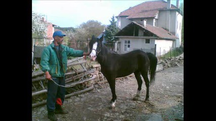 pe6ko i gerity.wmv