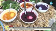 Започна боядисването на яйца от щраус и паун в зоопарка в Бургас