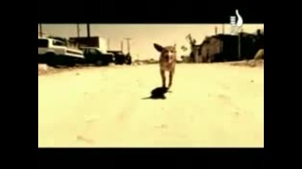 Korn - Word Up