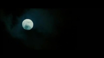 ~ Vampire Romance ~ [ Twilight / Moonlight / True Blood ]